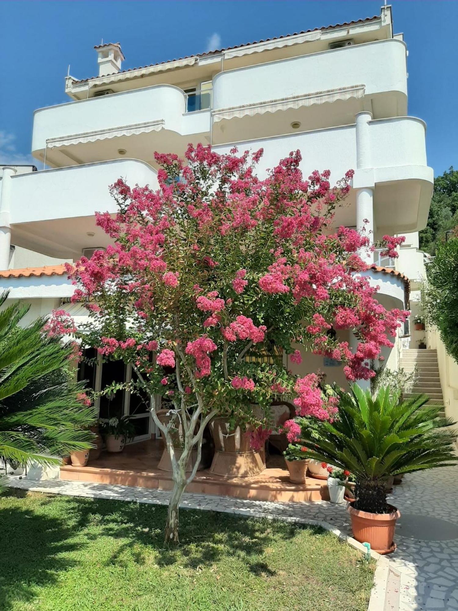סוטומורה Apartments Villa Mare Mar מראה חיצוני תמונה